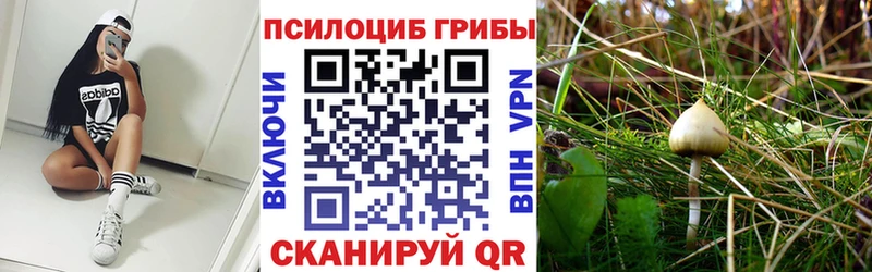Галлюциногенные грибы мицелий  Солигалич 
